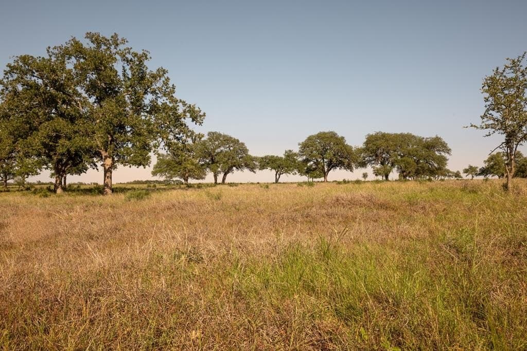 530 acres in Blanco County - photo 19