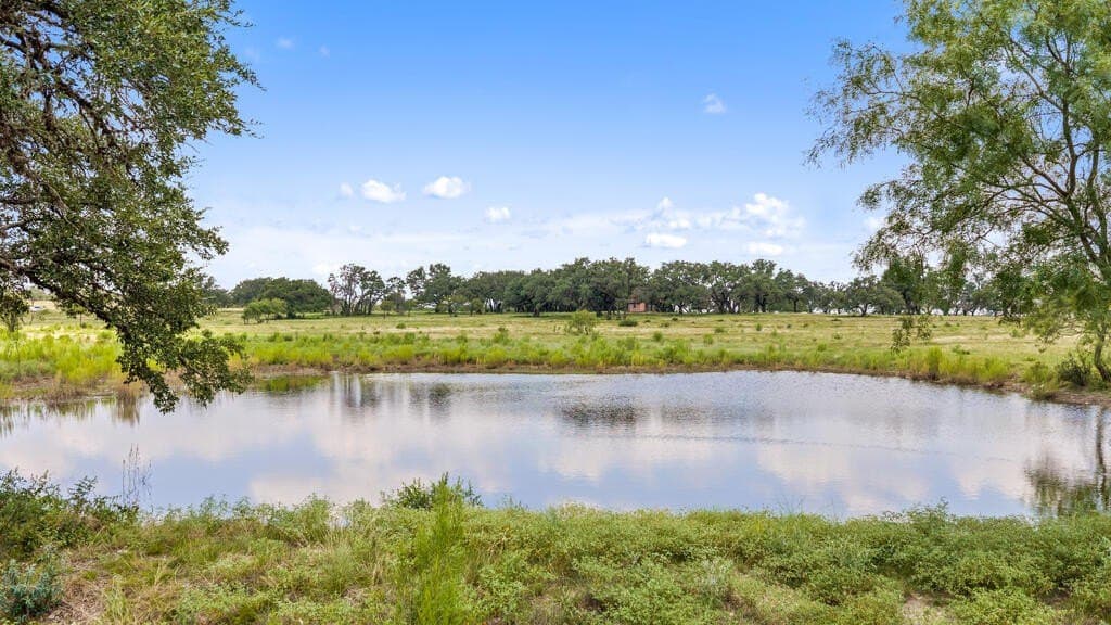 530 acres in Blanco County - photo 8
