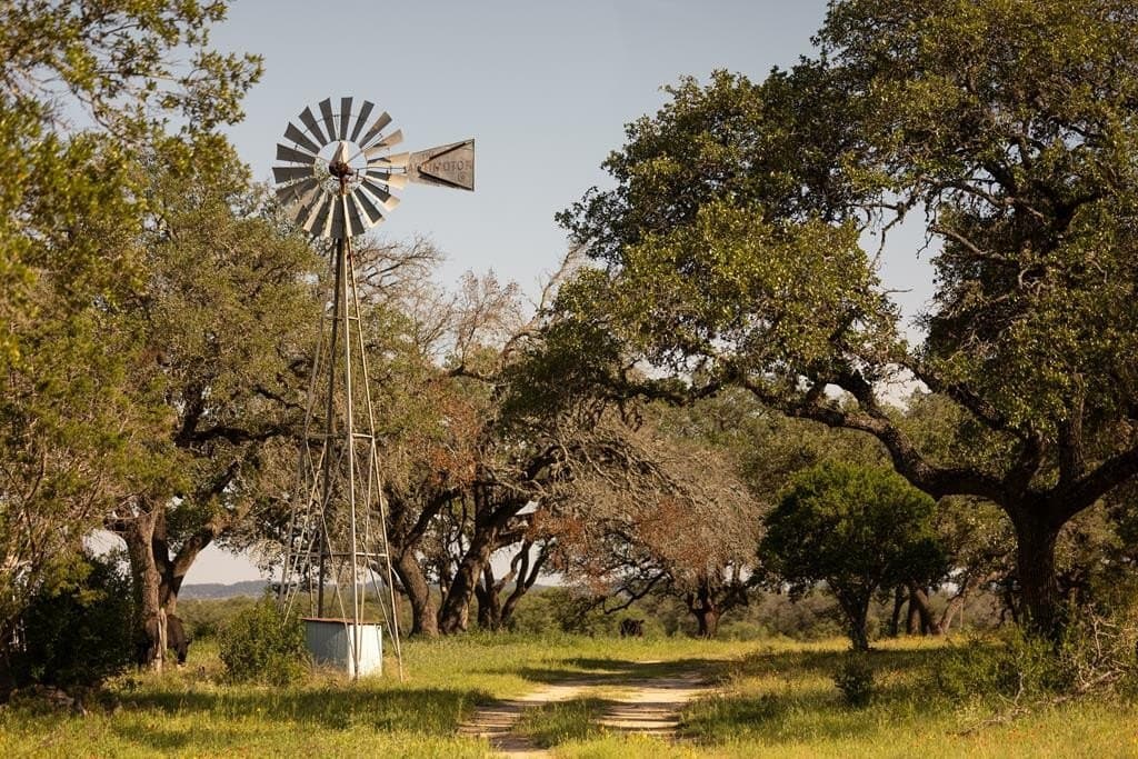 530 acres in Blanco County - photo 9