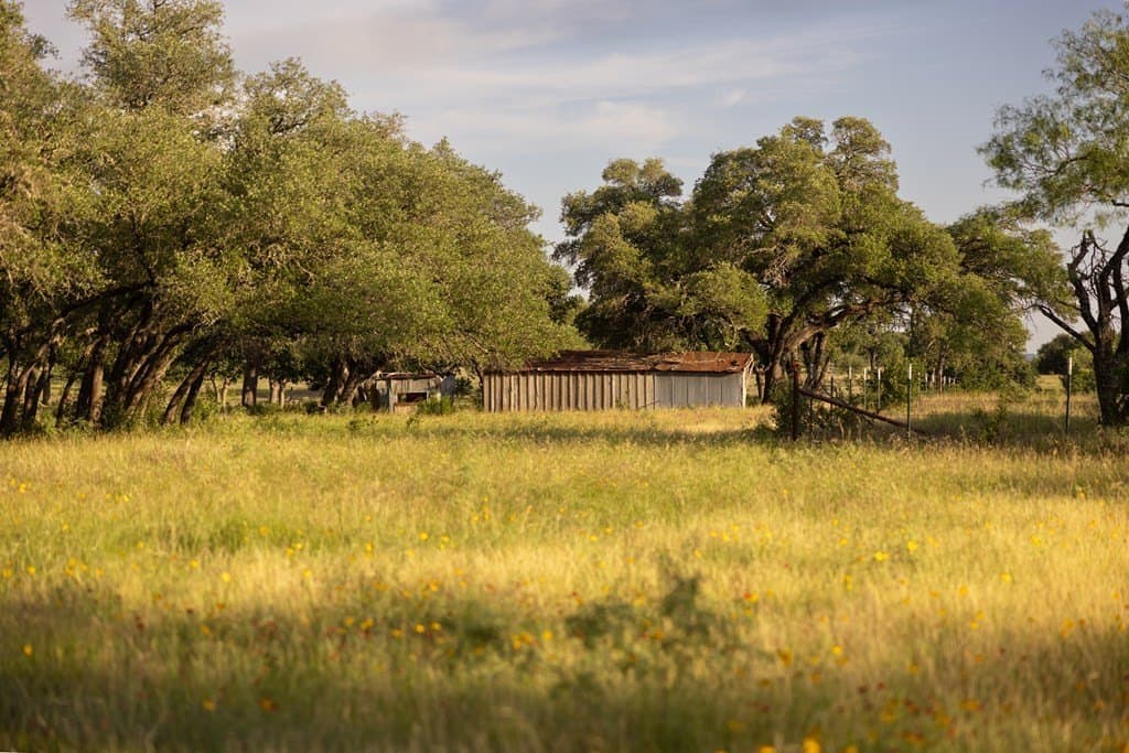 530 acres in Blanco County - photo 21