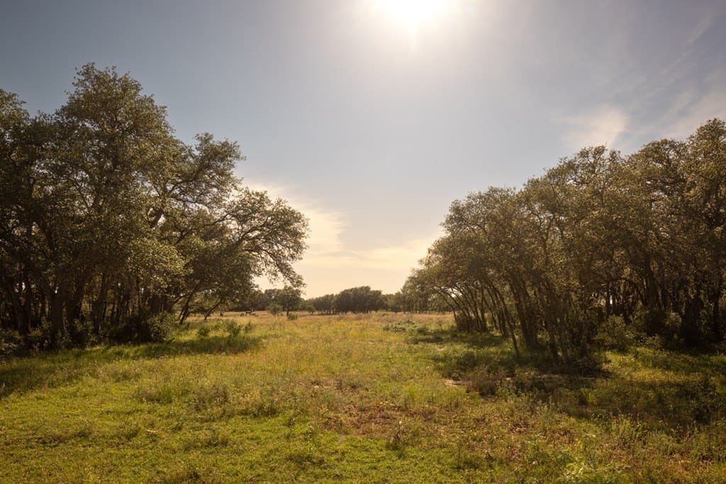 530 acres in Blanco County - photo 11
