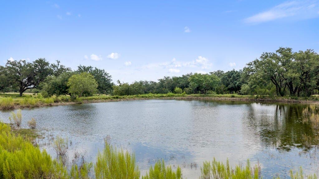 530 acres in Blanco County - photo 22