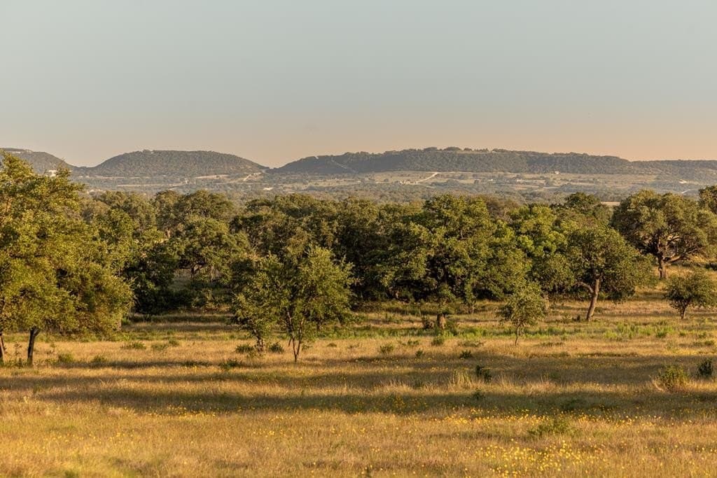 583 acres in Blanco County gallery image 2