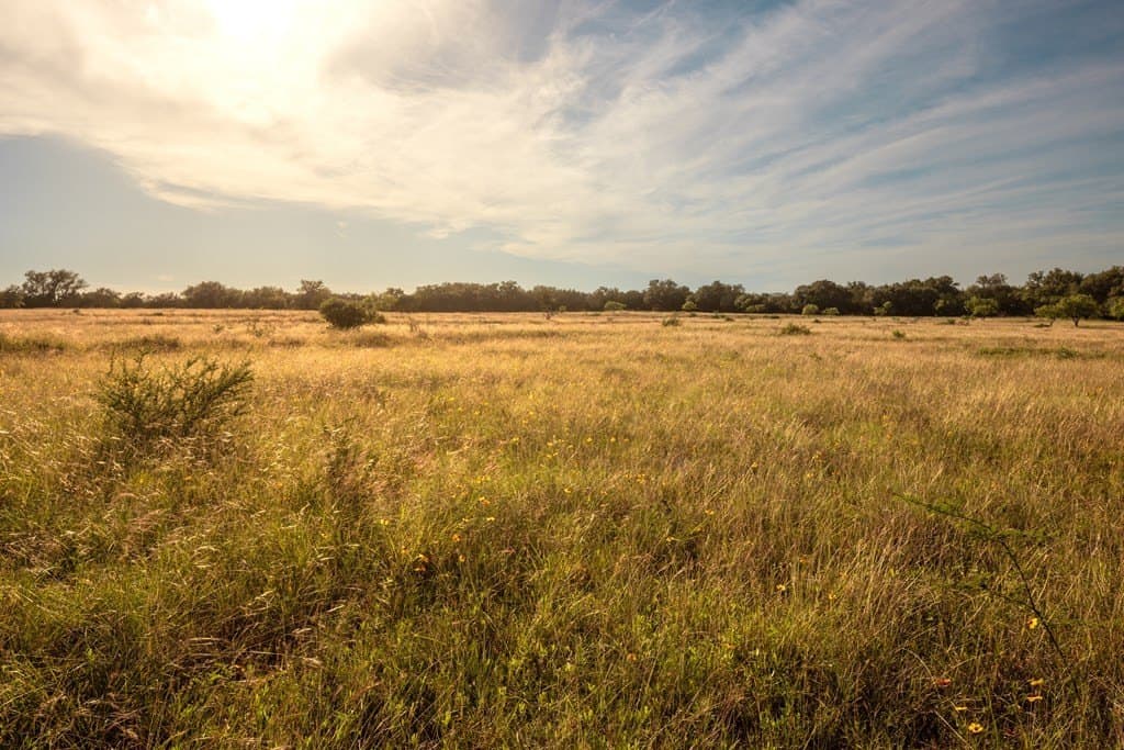 530 acres in Blanco County - photo 24