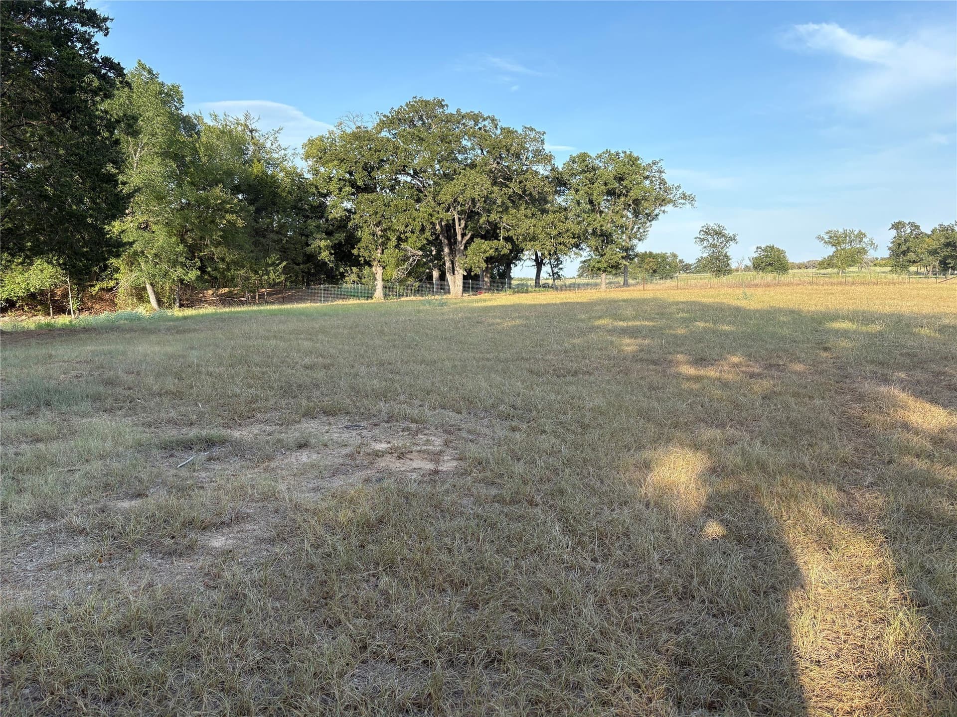 25 acres in Limestone County - photo 7