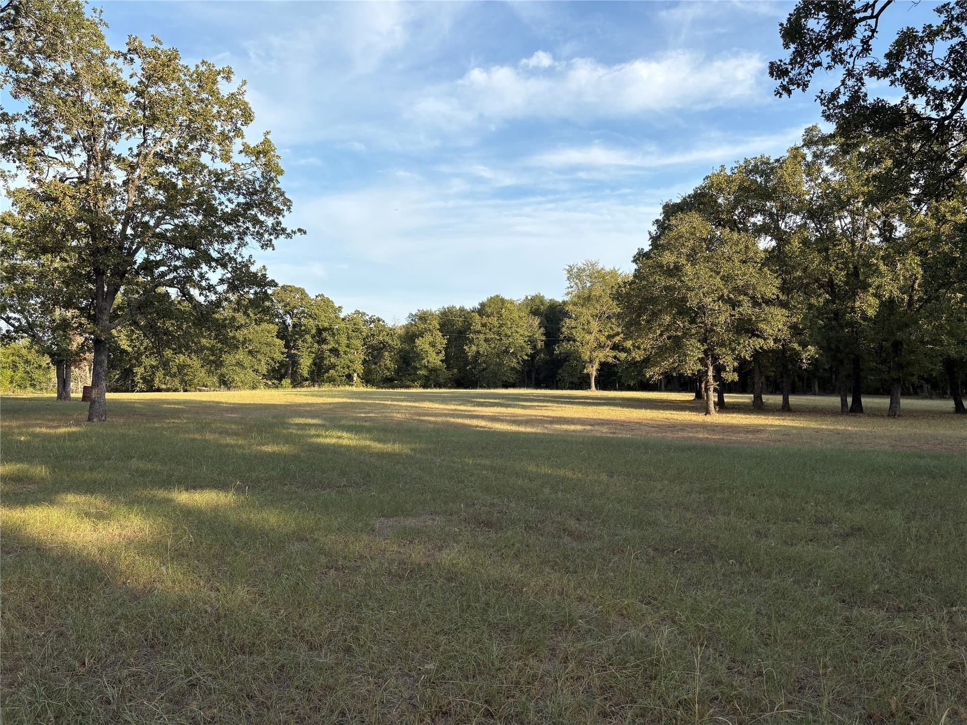 25 acres in Limestone County - photo 2