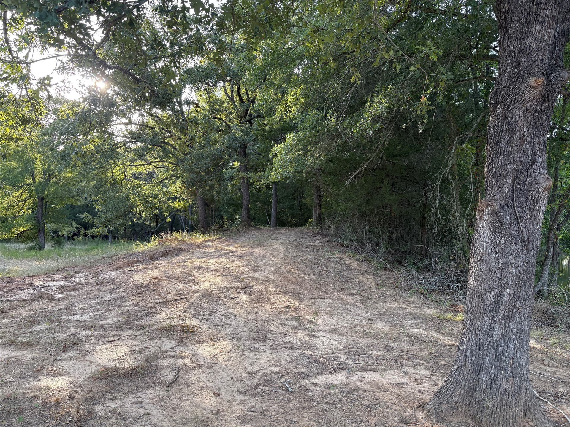 25 acres in Limestone County - photo 6