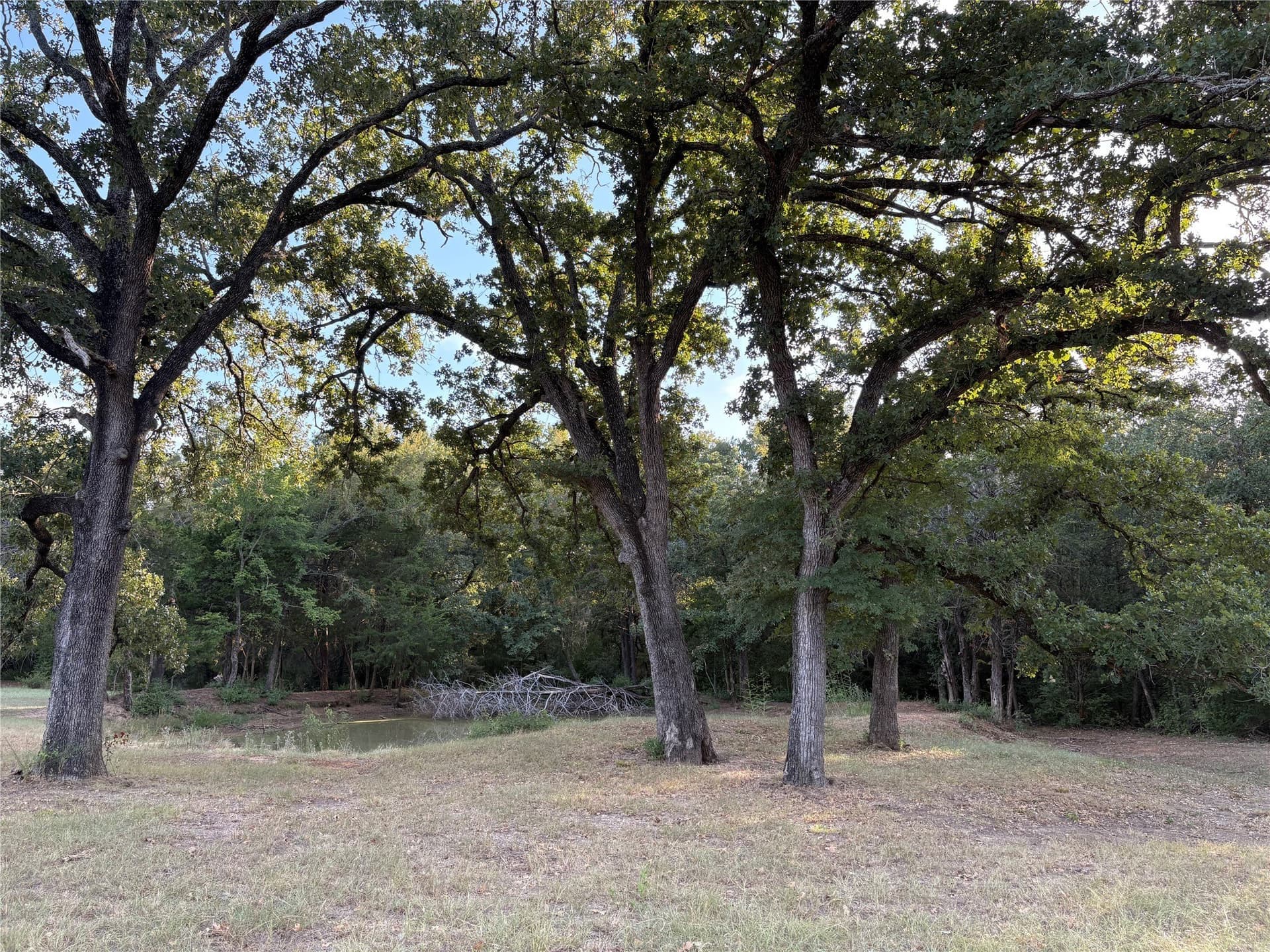 25 acres in Limestone County - photo 5