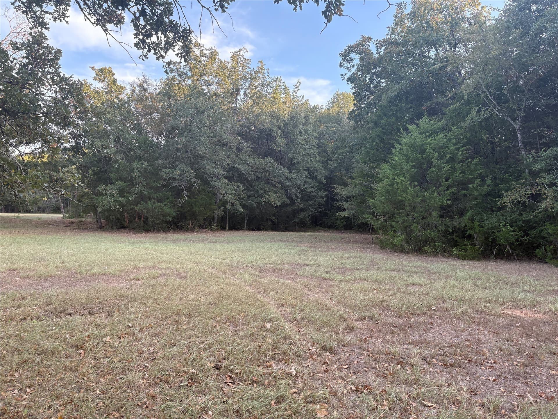 25 acres in Limestone County - photo 9