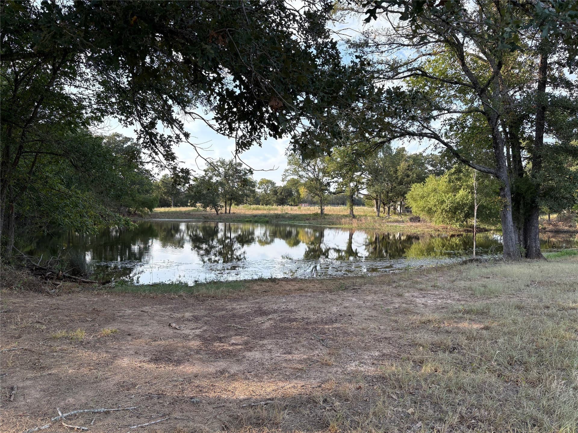 25 acres in Limestone County - photo 4