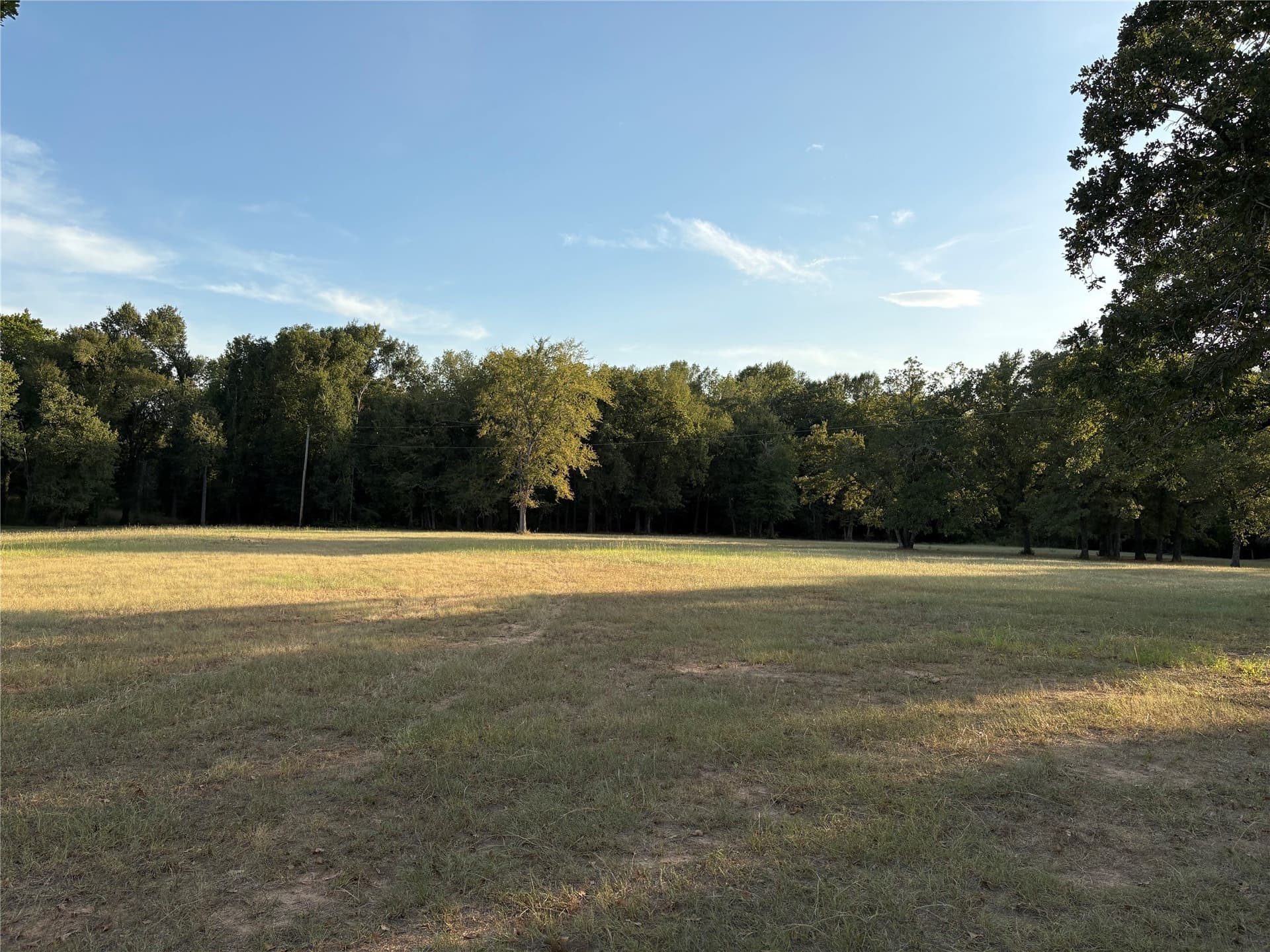 25 acres in Limestone County - photo 3