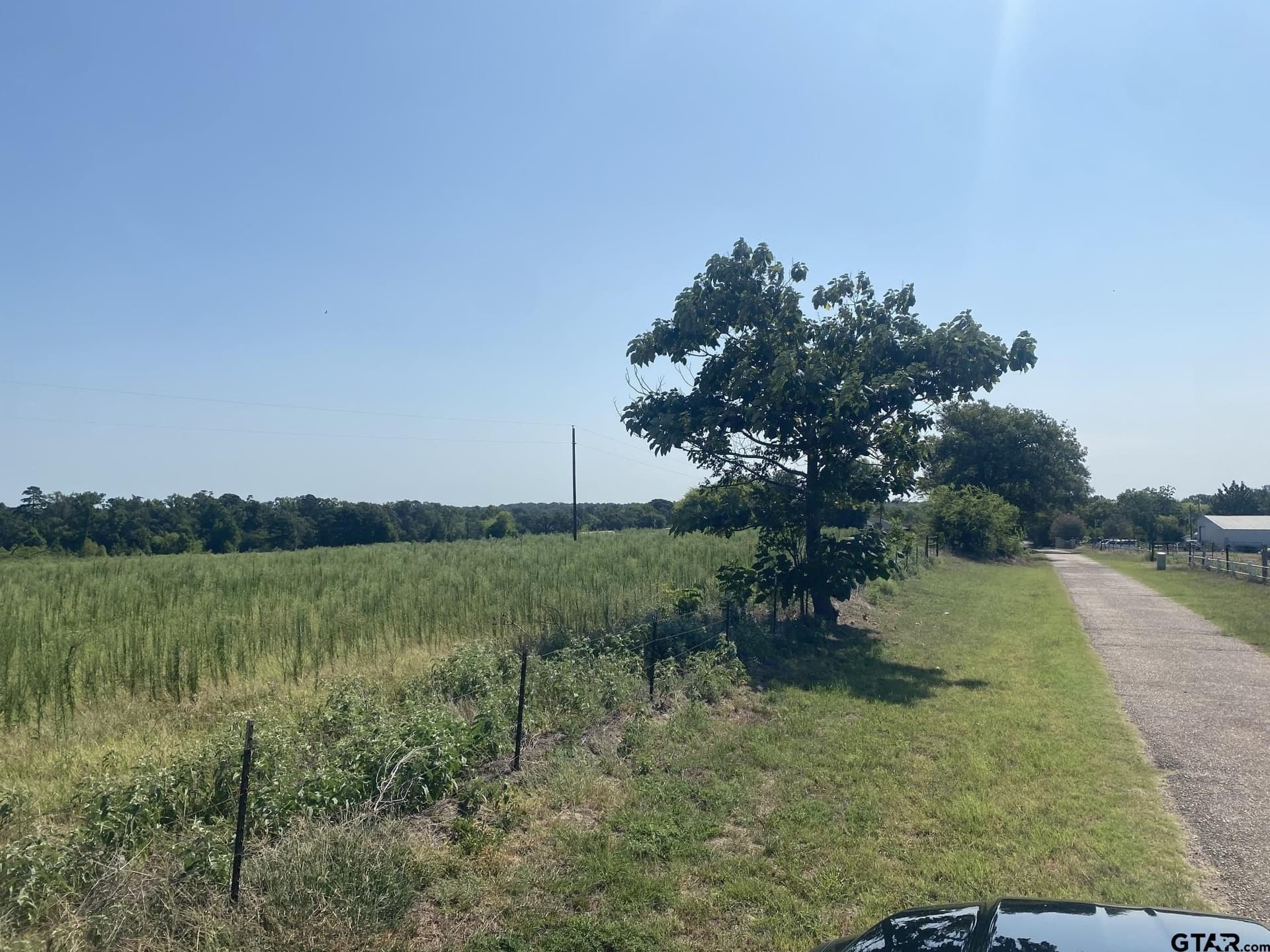 3.68 acres in Camp County - photo 2