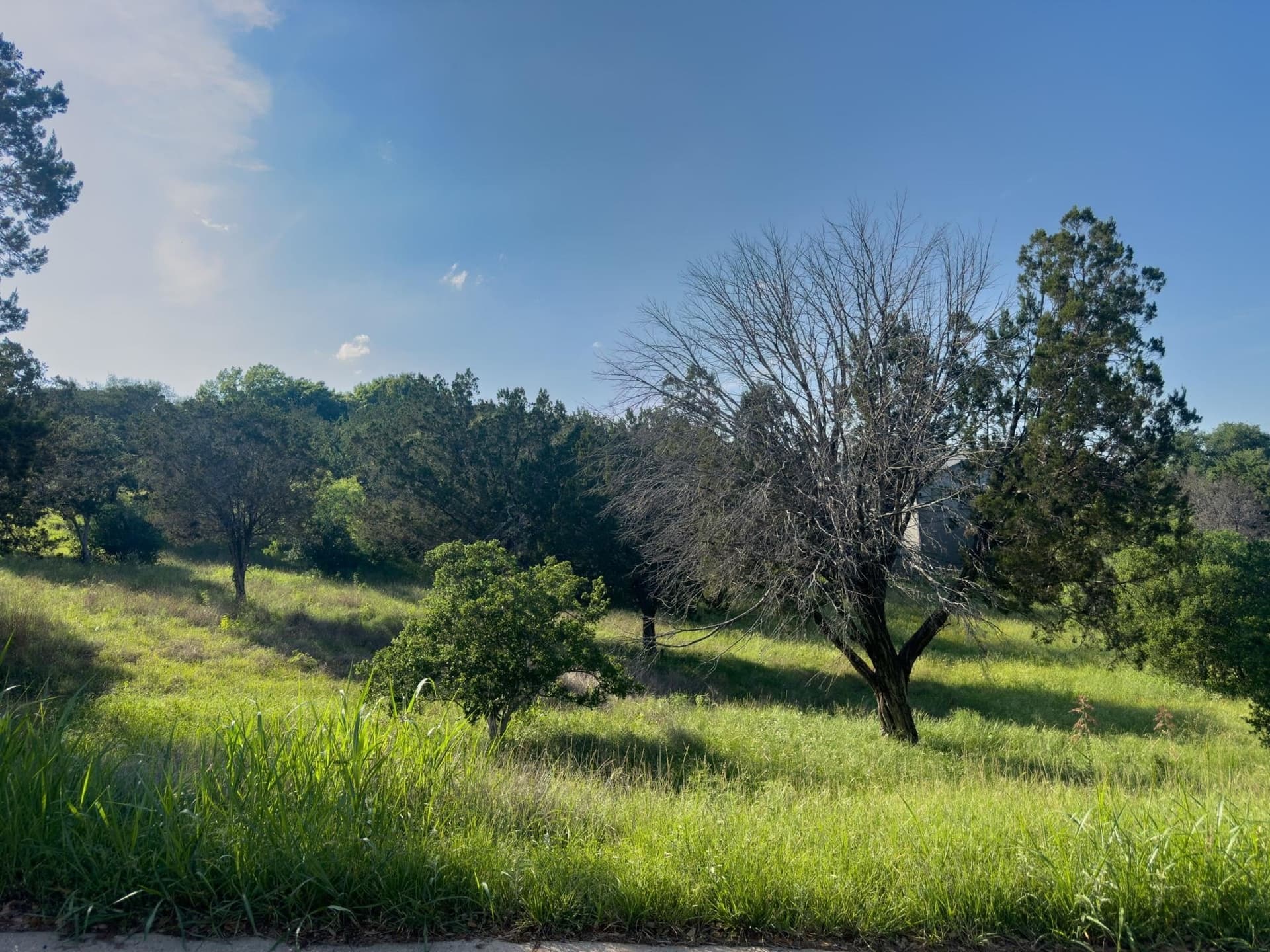0.23 acres in Llano County featured view