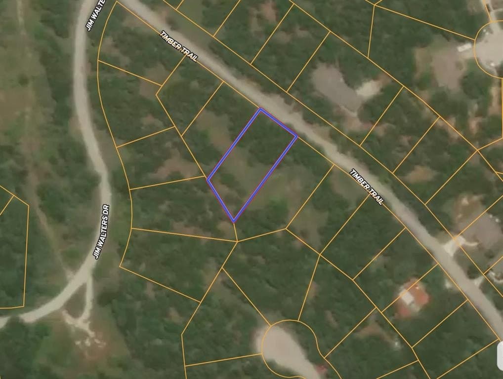 0.31 acres in Wise County gallery image 2
