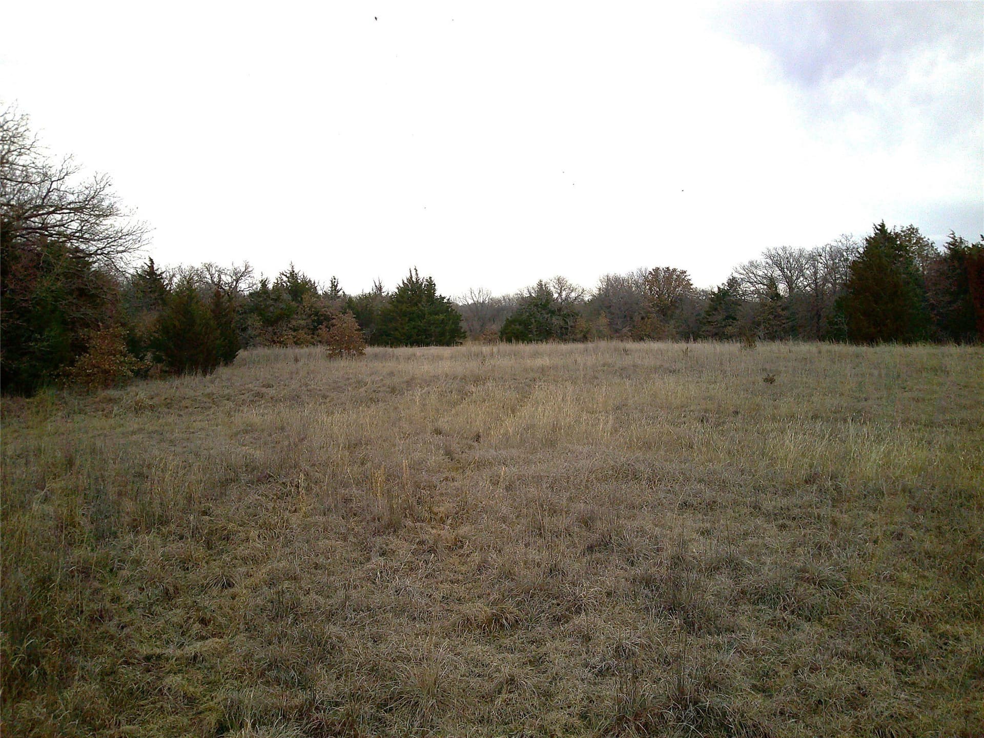 20 acres in Montague County - photo 3