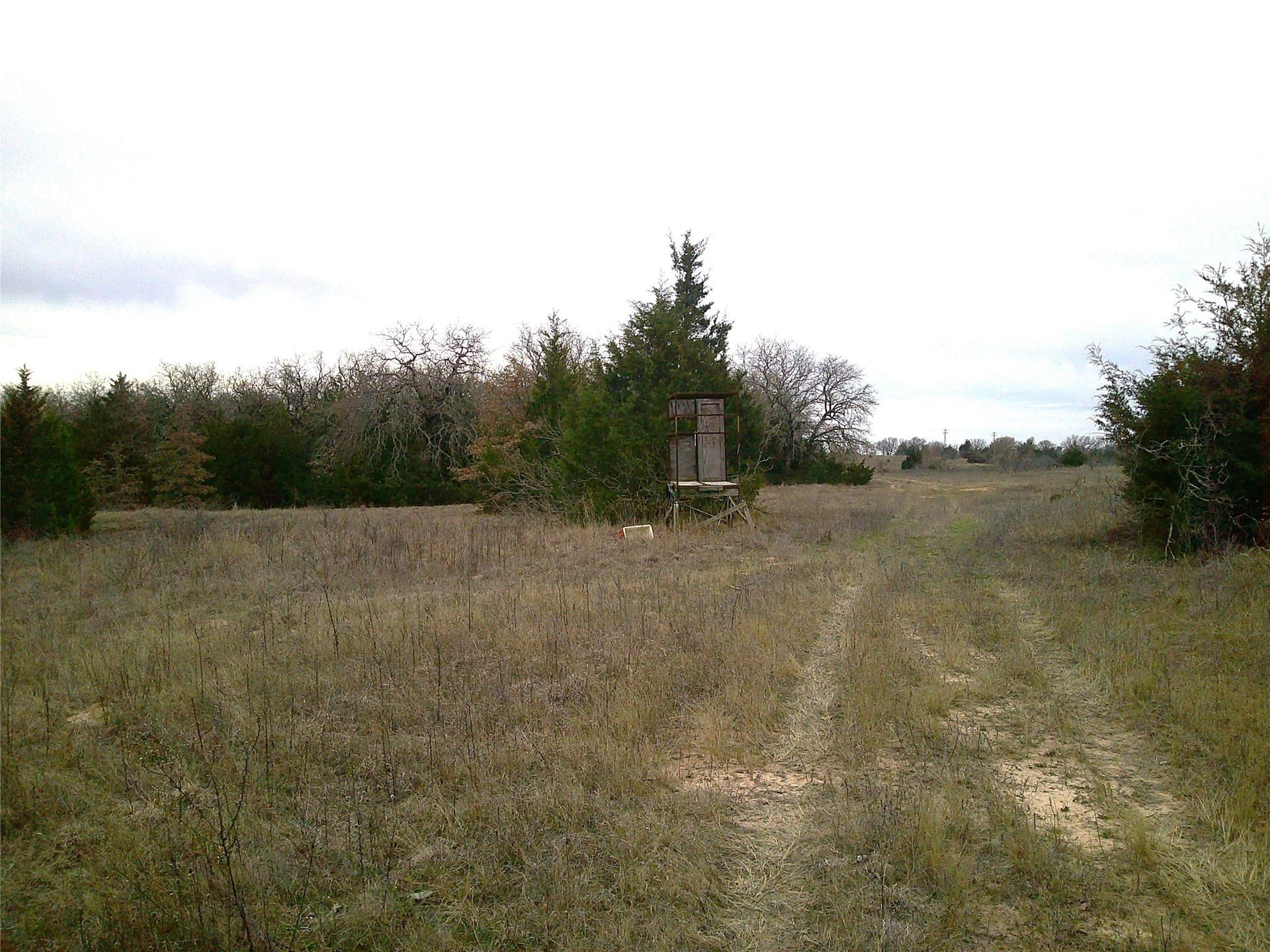 20 acres in Montague County