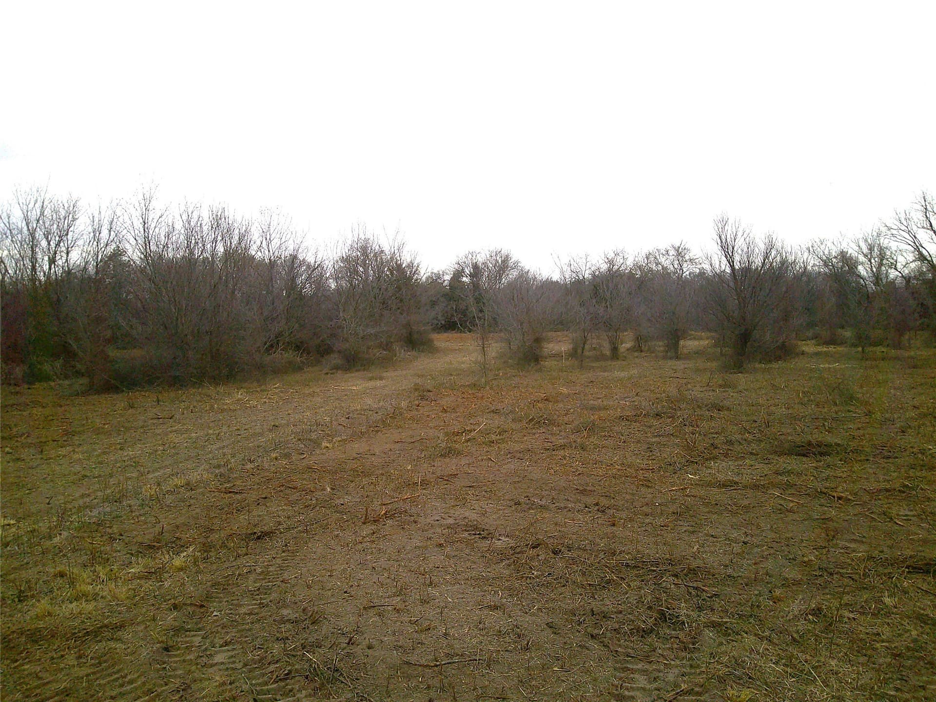 20 acres in Montague County - photo 4