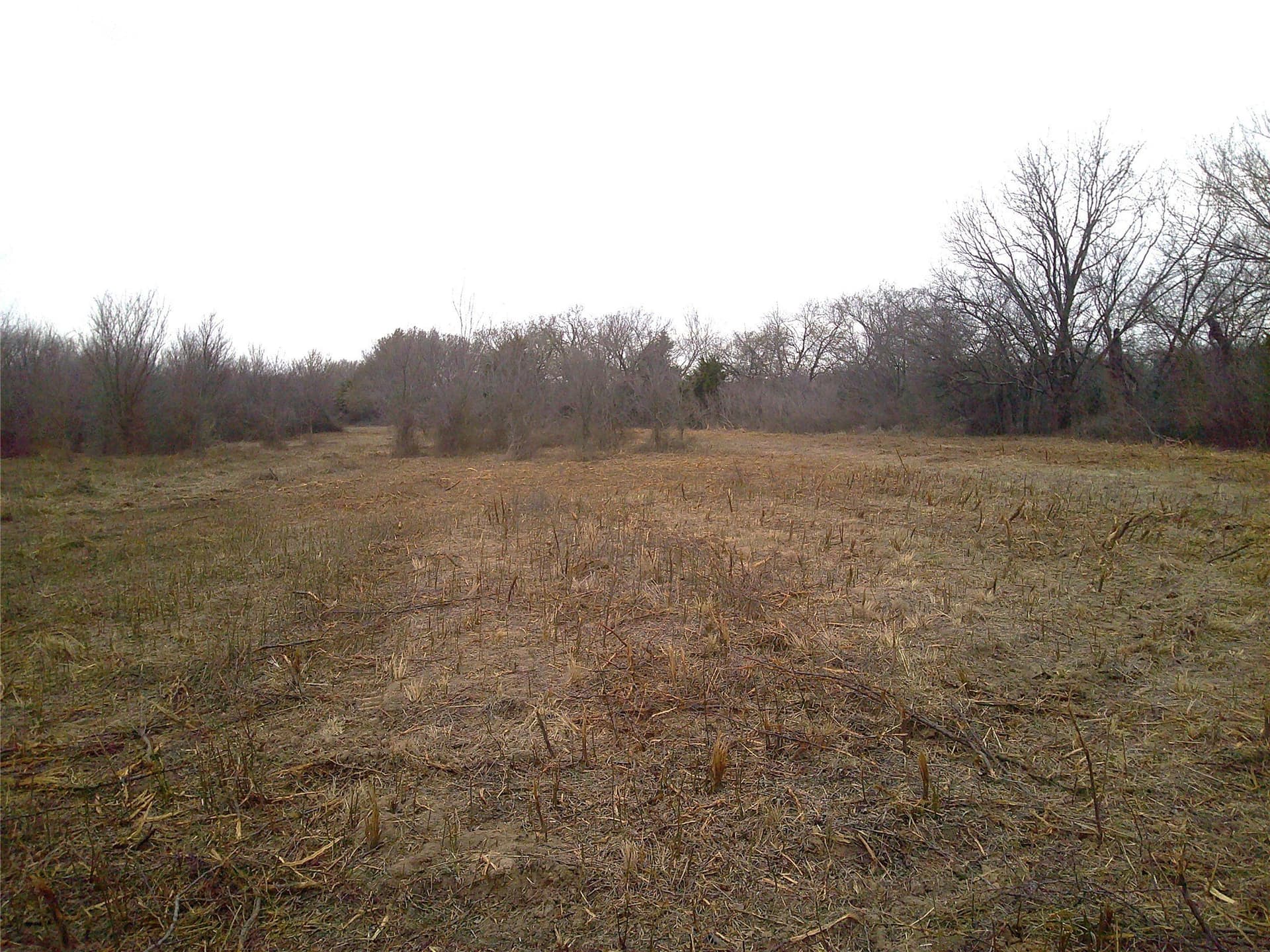 20 acres in Montague County - photo 5
