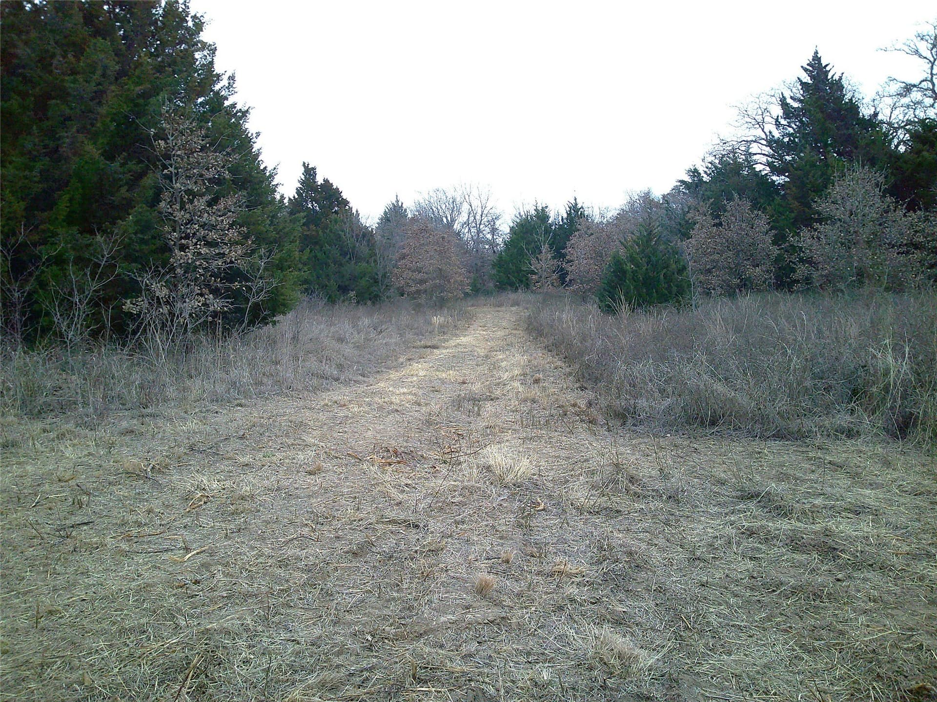 20 acres in Montague County - photo 6