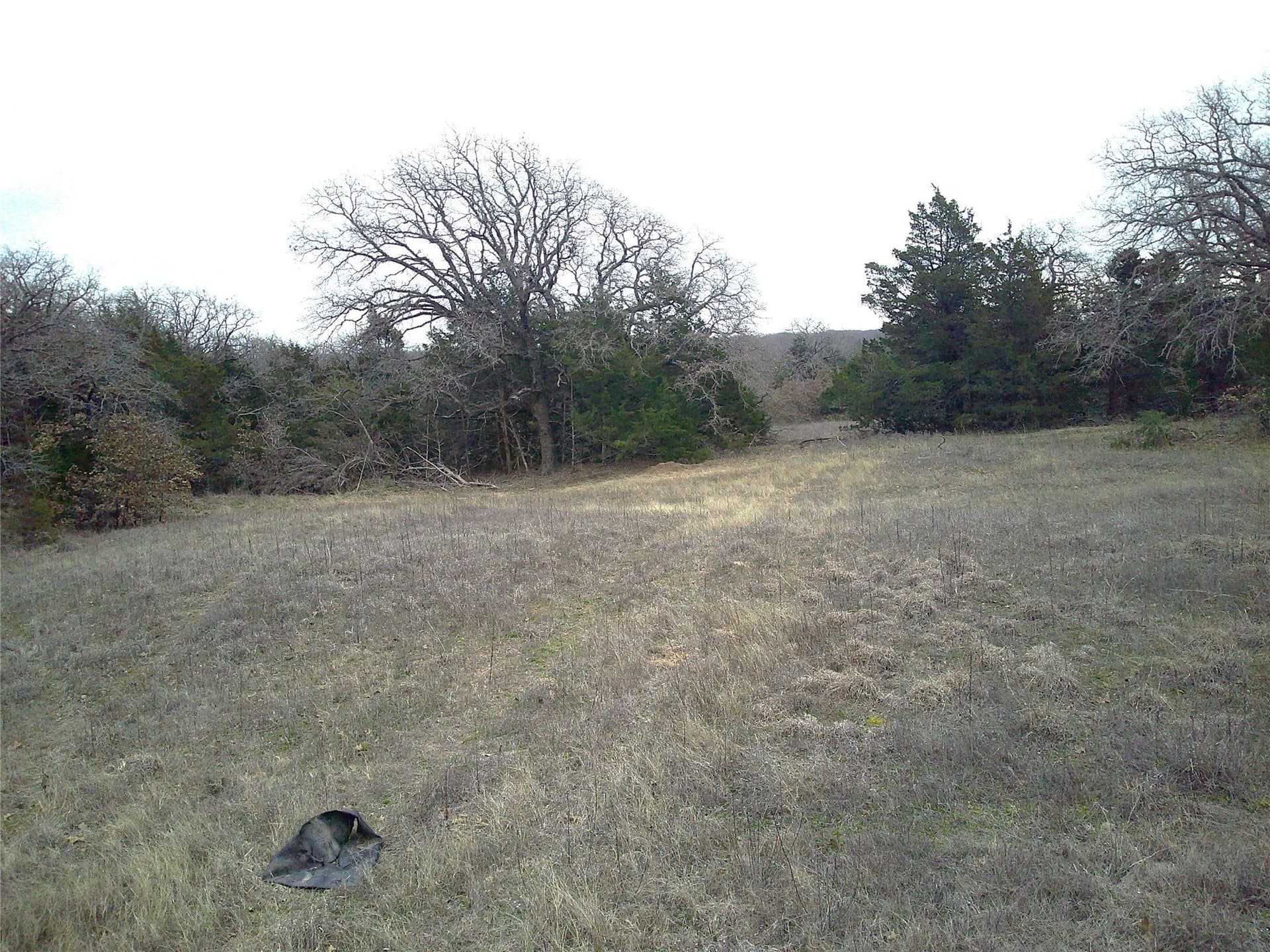 20 acres in Montague County - photo 8