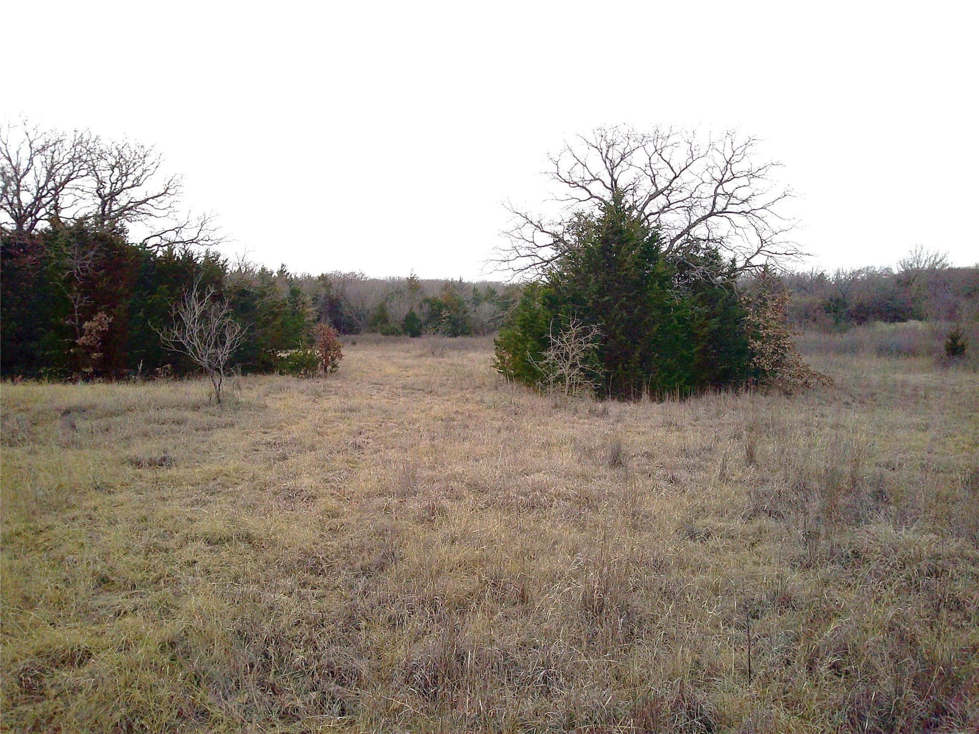 20 acres in Montague County - photo 2