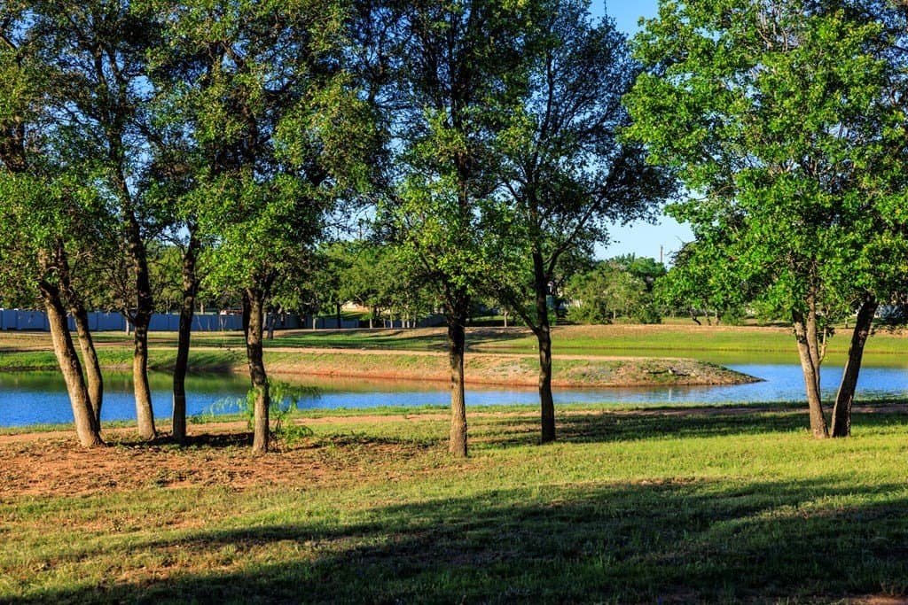 0.51 acres in Gillespie County - photo 17