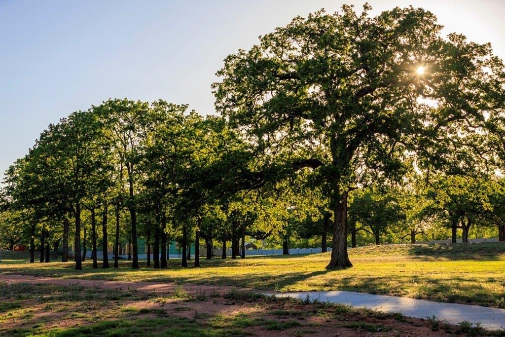 0.51 acres in Gillespie County - photo 3