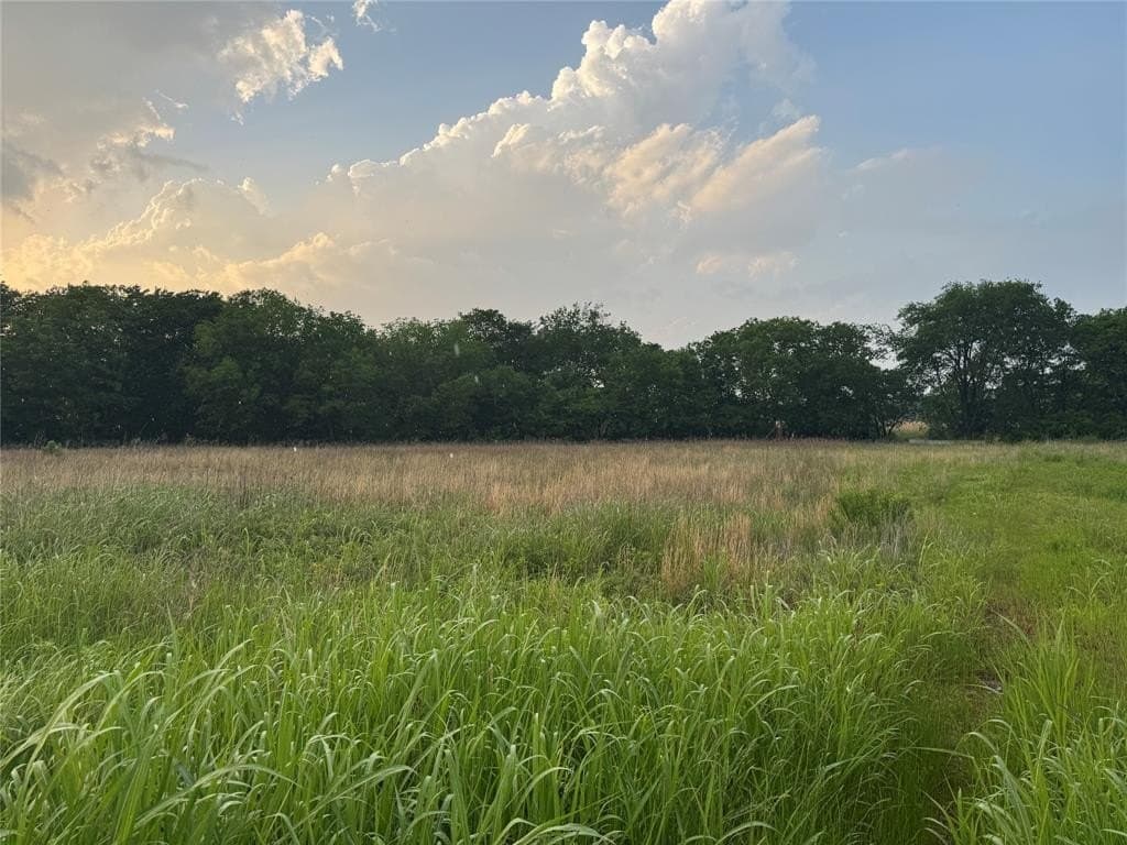 36.84 acres in Hunt County gallery image 4