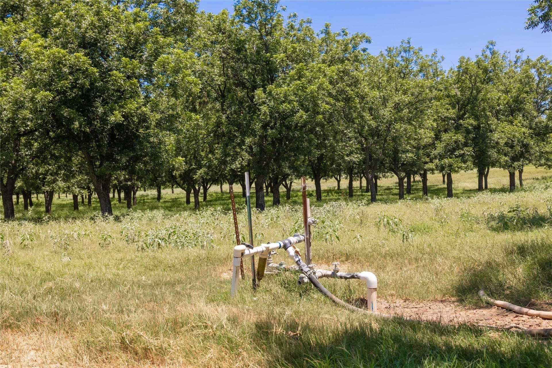 164.08 acres in Comanche County - photo 21