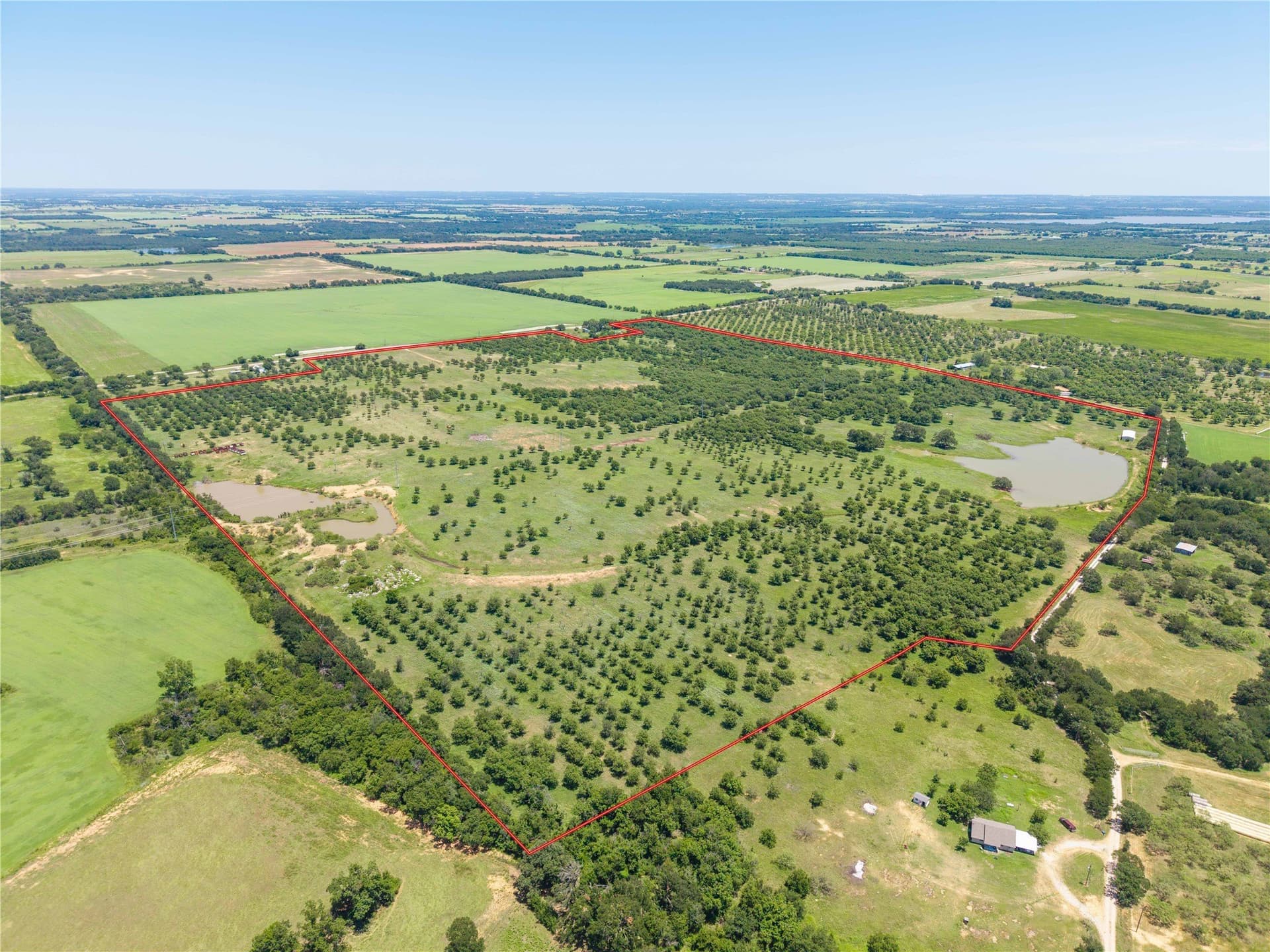 164.08 acres in Comanche County - photo 10