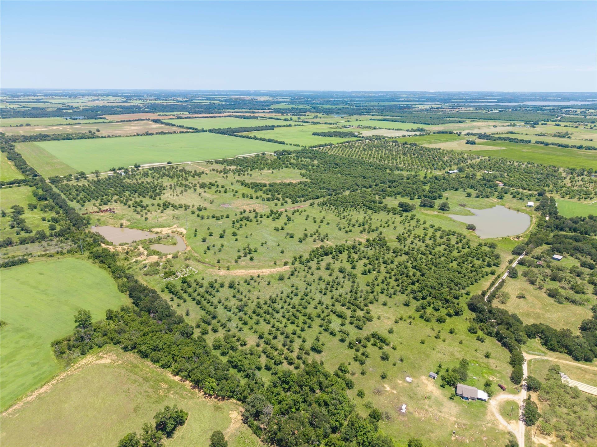 164.08 acres in Comanche County - photo 11