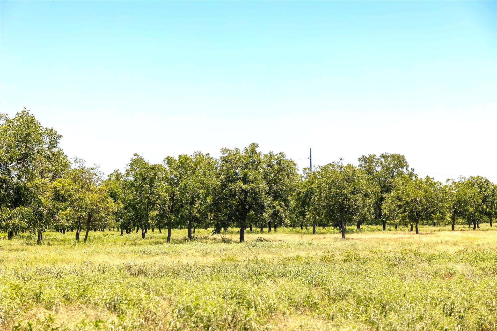 164.08 acres in Comanche County - photo 5