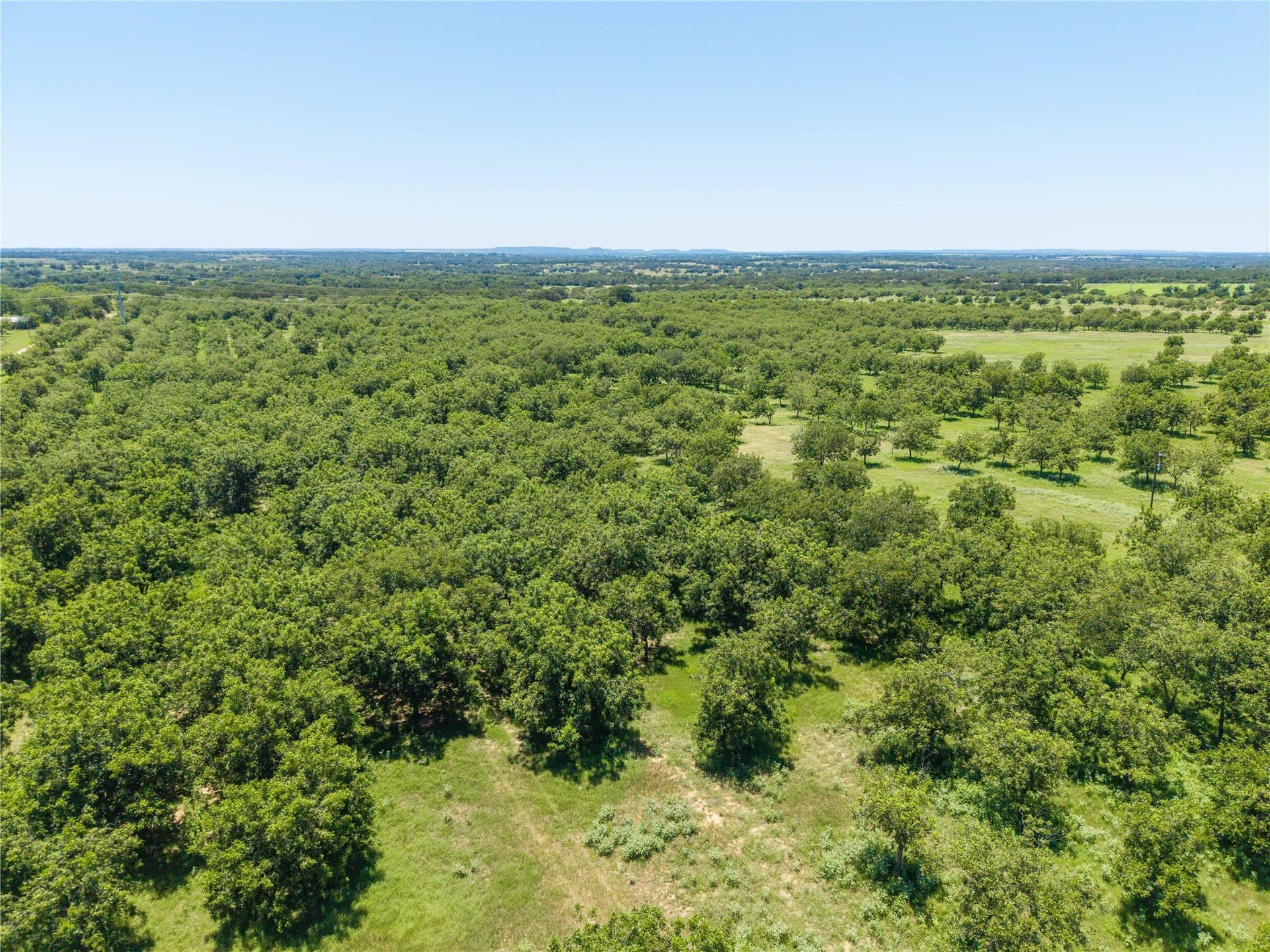 164.08 acres in Comanche County - photo 4