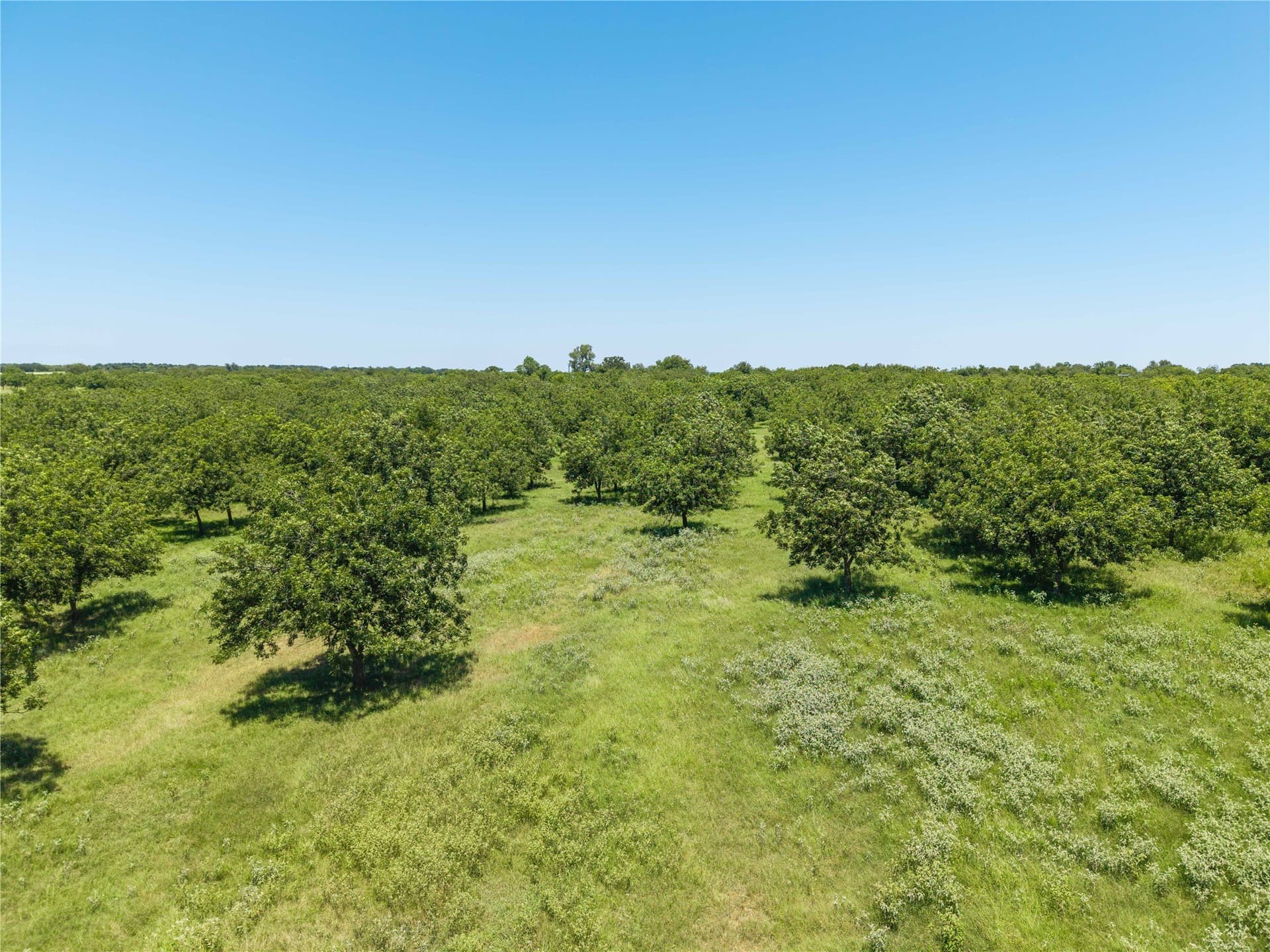 164.08 acres in Comanche County - photo 3