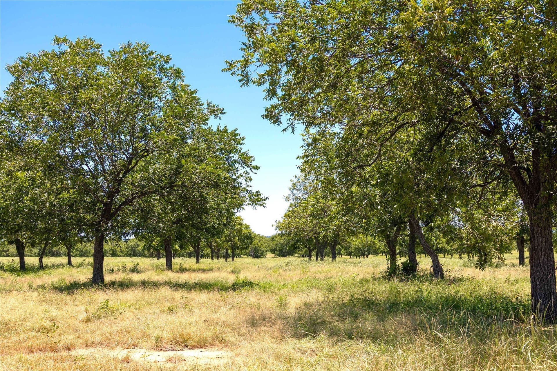 164.08 acres in Comanche County - photo 7