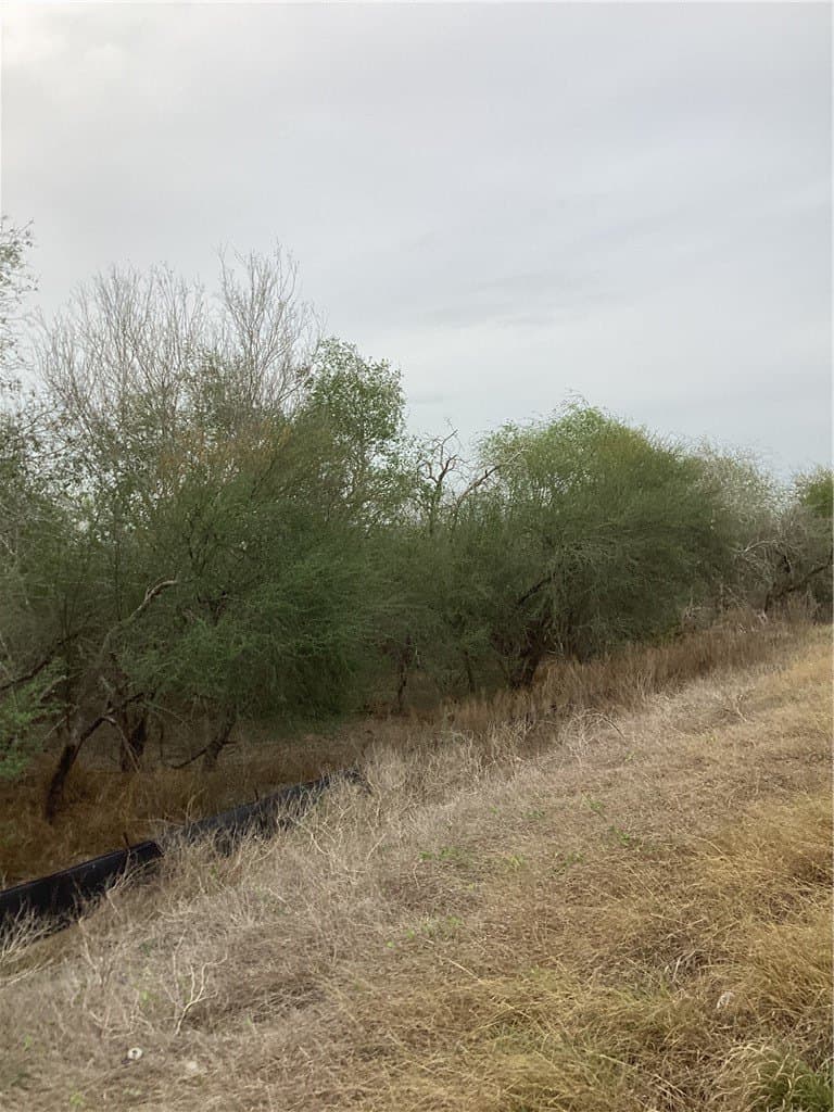 1.9 acres in Jim Wells County gallery image 2