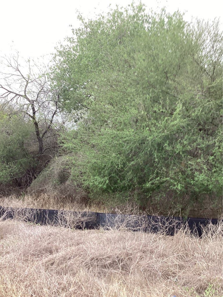 1.9 acres in Jim Wells County gallery image 3
