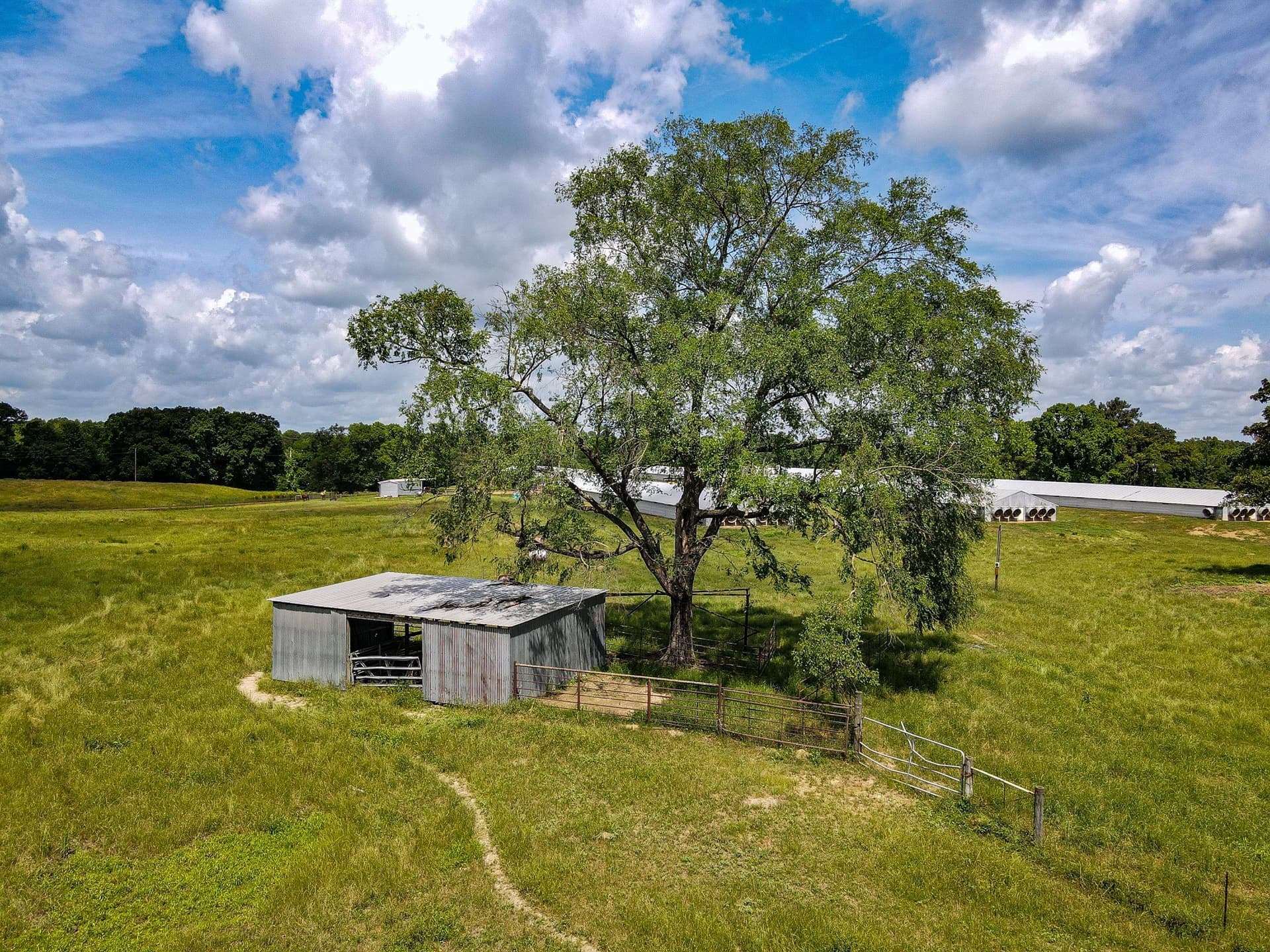 20 acres in Morris County - photo 9