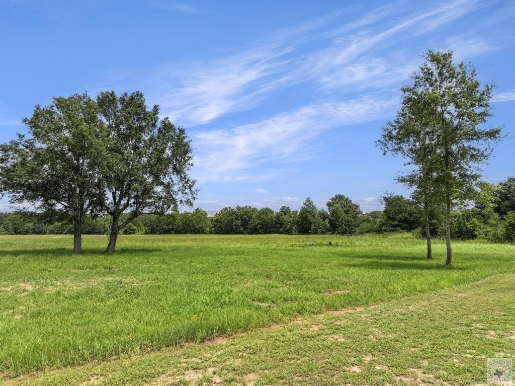 20 acres in Bowie County - photo 7