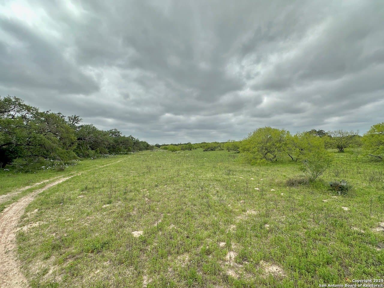 177.9 acres in Medina County - photo 20