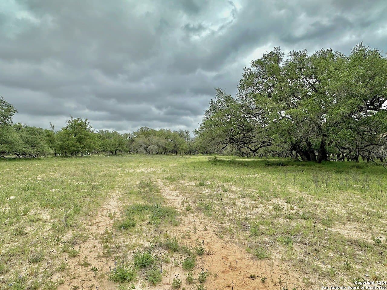177.9 acres in Medina County - photo 21