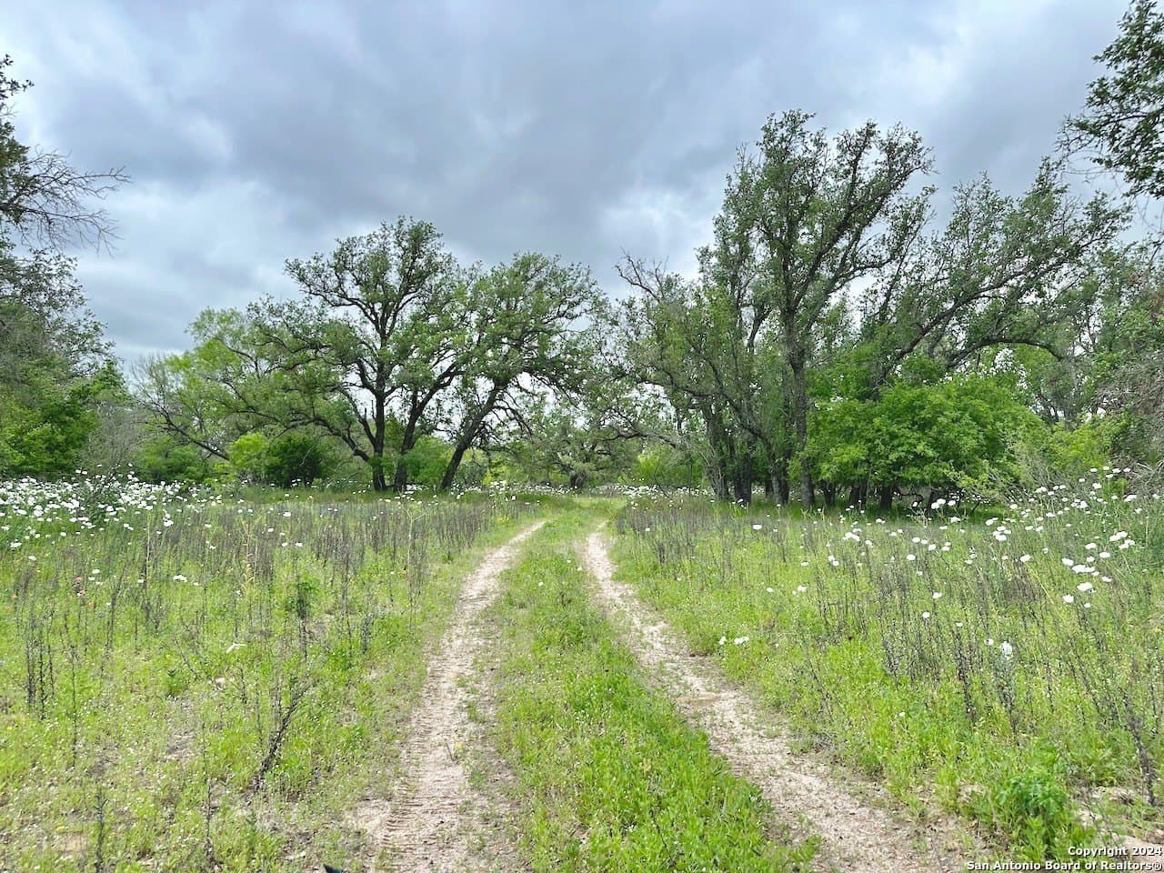 177.9 acres in Medina County - photo 11