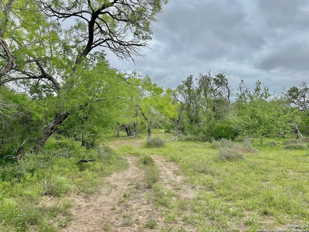 177.9 acres in Medina County - photo 19