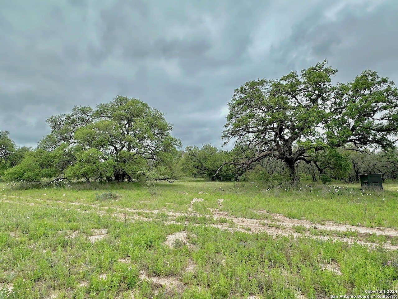 177.9 acres in Medina County - photo 17