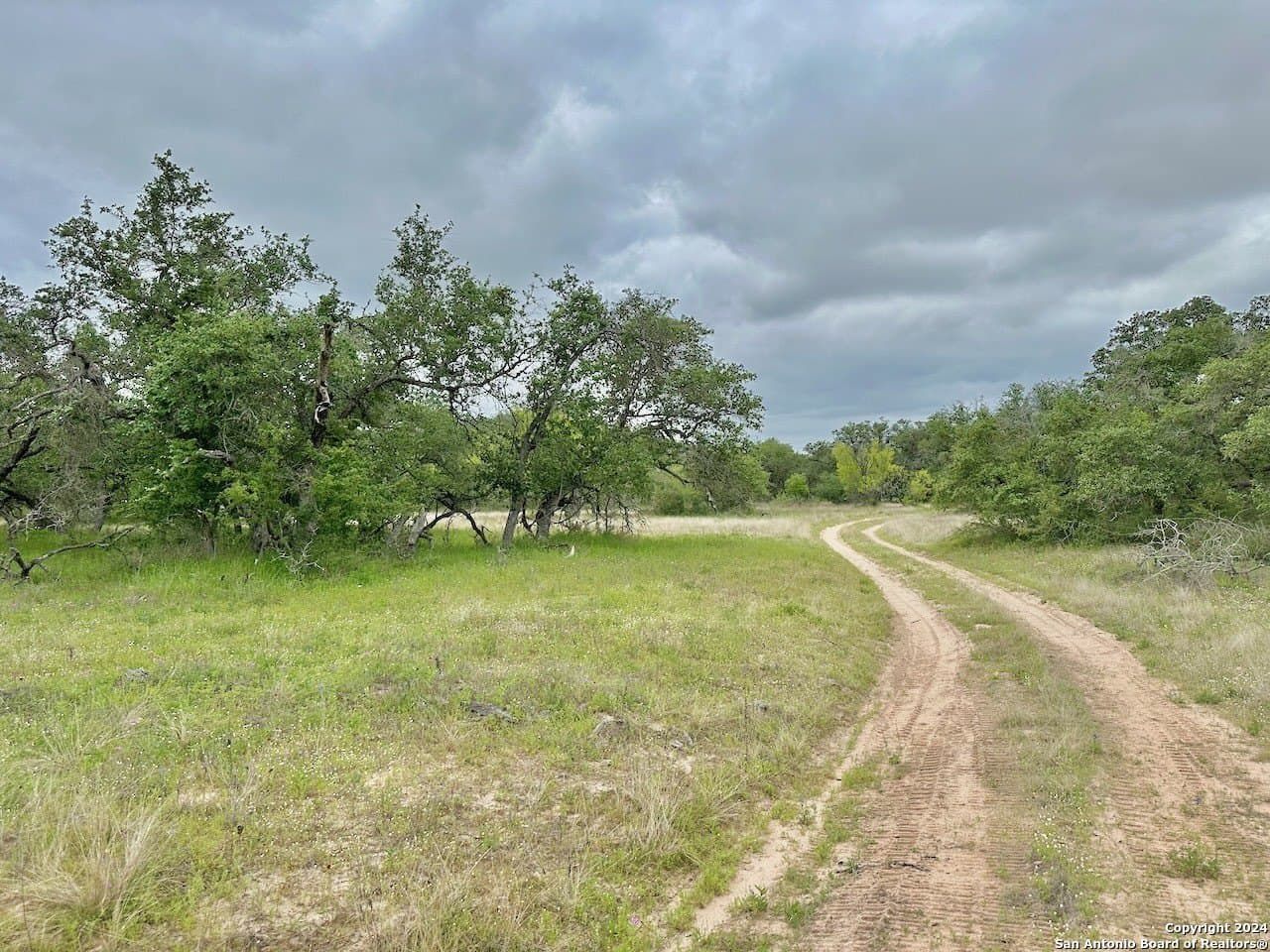 177.9 acres in Medina County - photo 23