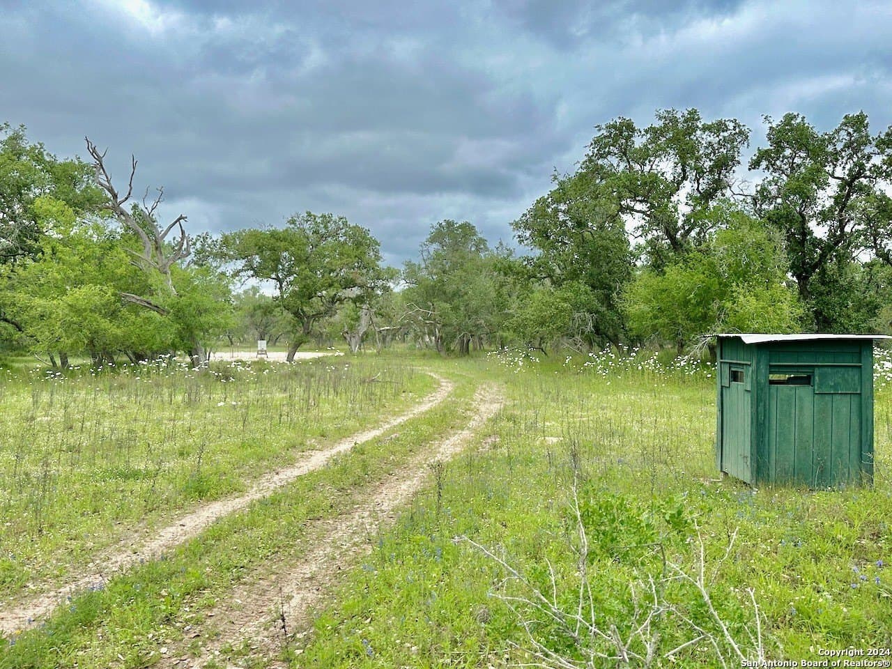 177.9 acres in Medina County - photo 14
