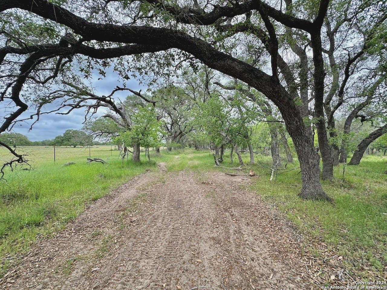 177.9 acres in Medina County - photo 12