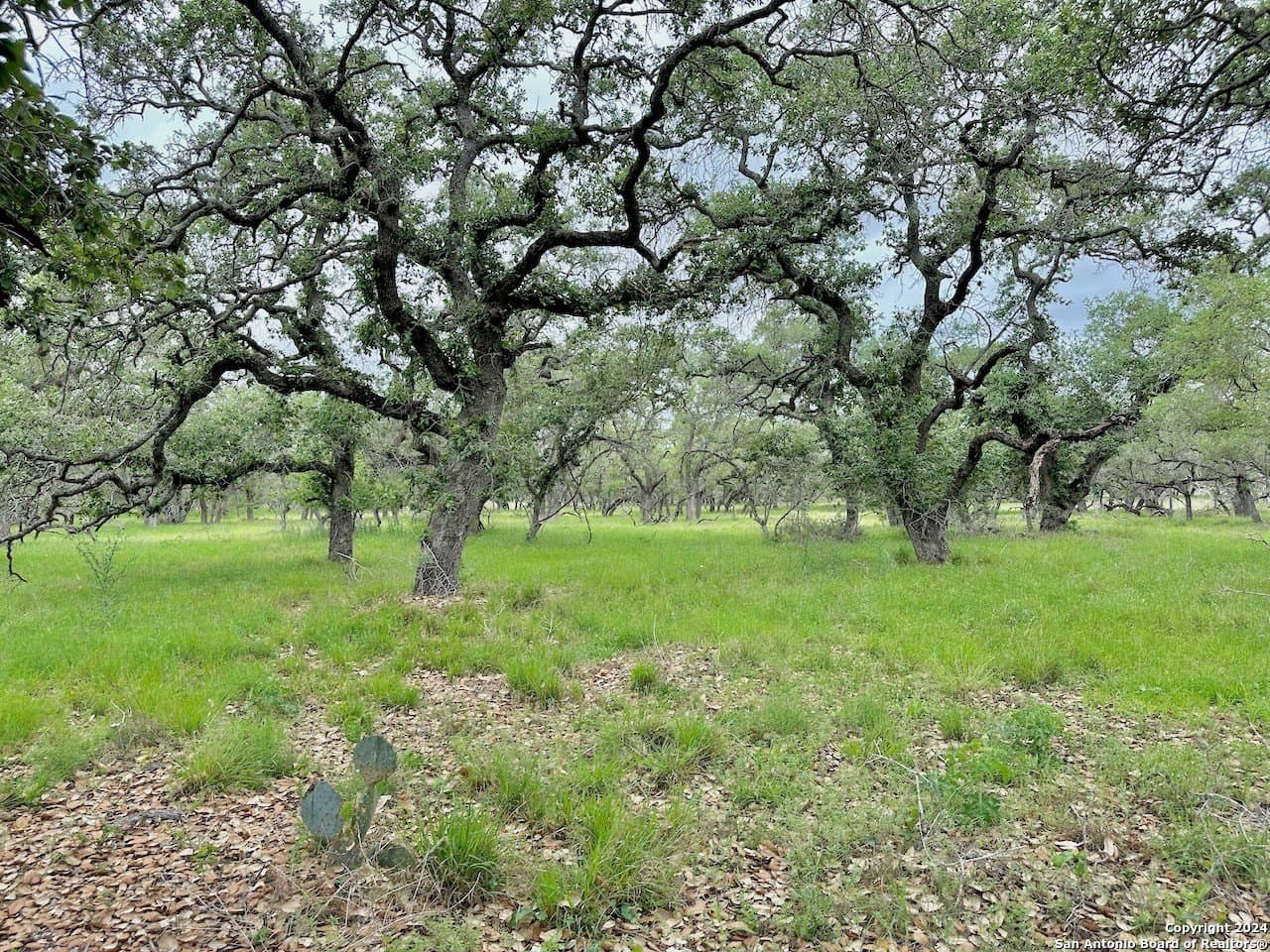 177.9 acres in Medina County - photo 22