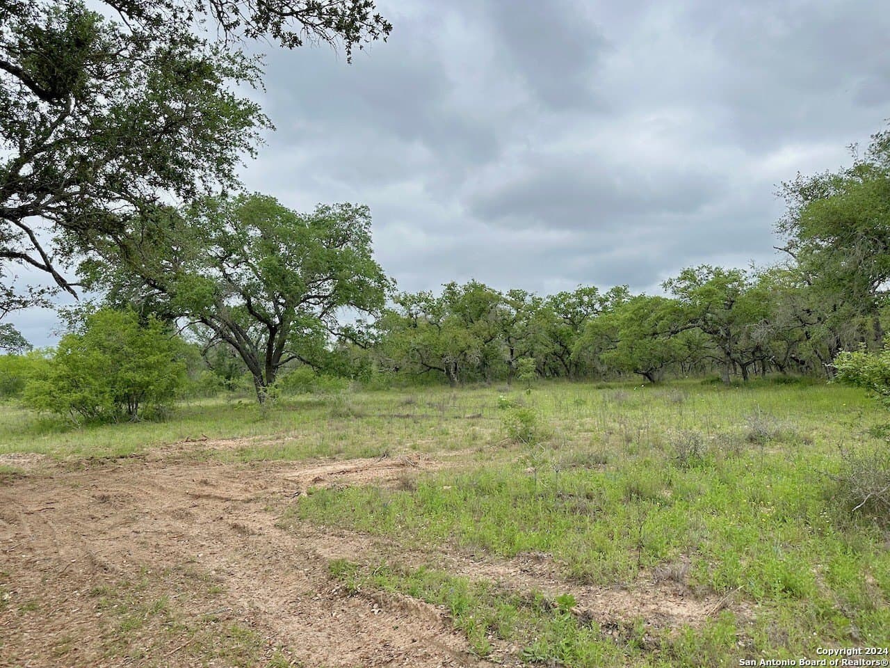 177.9 acres in Medina County - photo 18