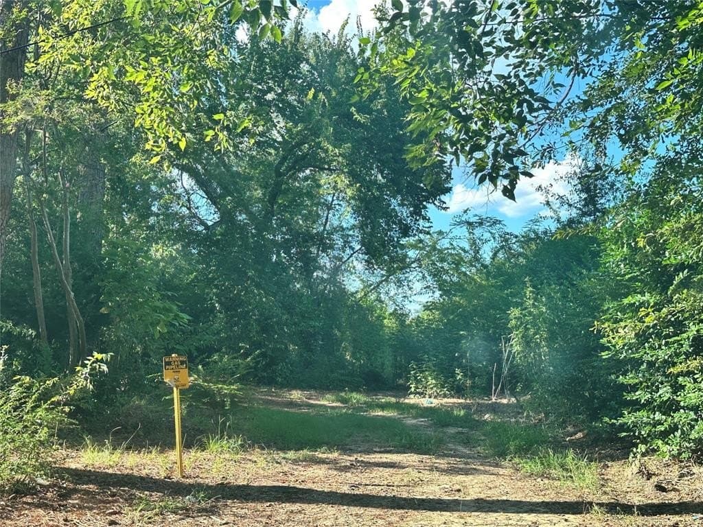 0.21 acres in Hopkins County gallery image 2